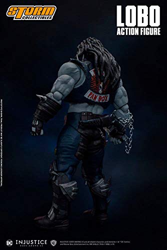 Amazon.com: Storm Collectibles: Injustice: Gods Among Us